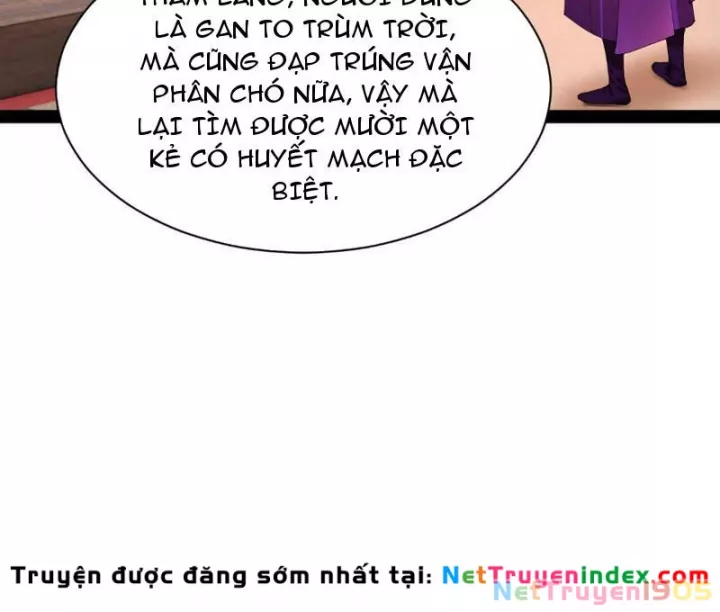Chàng Rể Mạnh Nhất Lịch Sử Chapter 337 - Trang 2