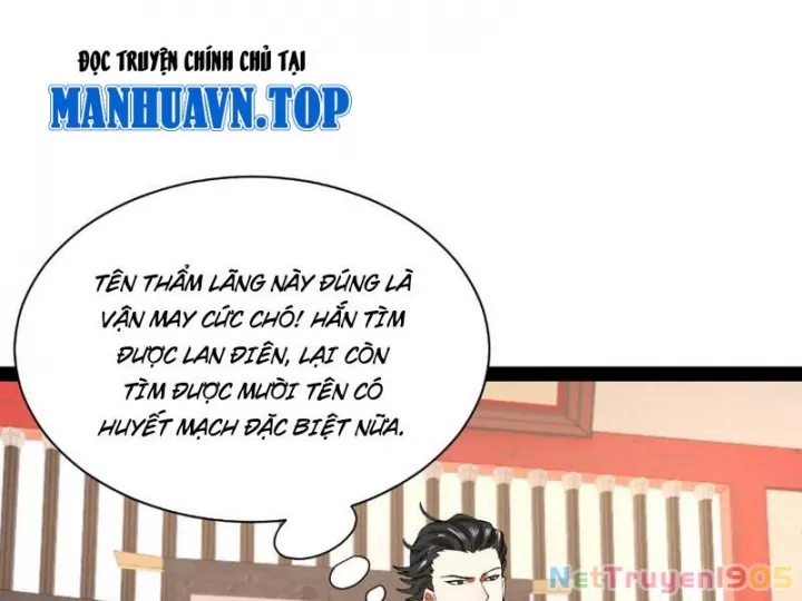 Chàng Rể Mạnh Nhất Lịch Sử Chapter 337 - Trang 2