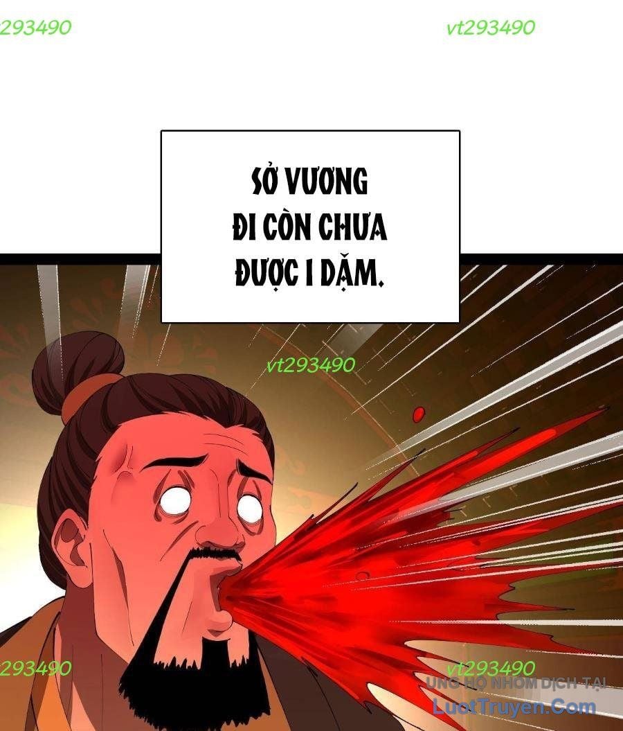 Chàng Rể Mạnh Nhất Lịch Sử Chapter 362 - Trang 2