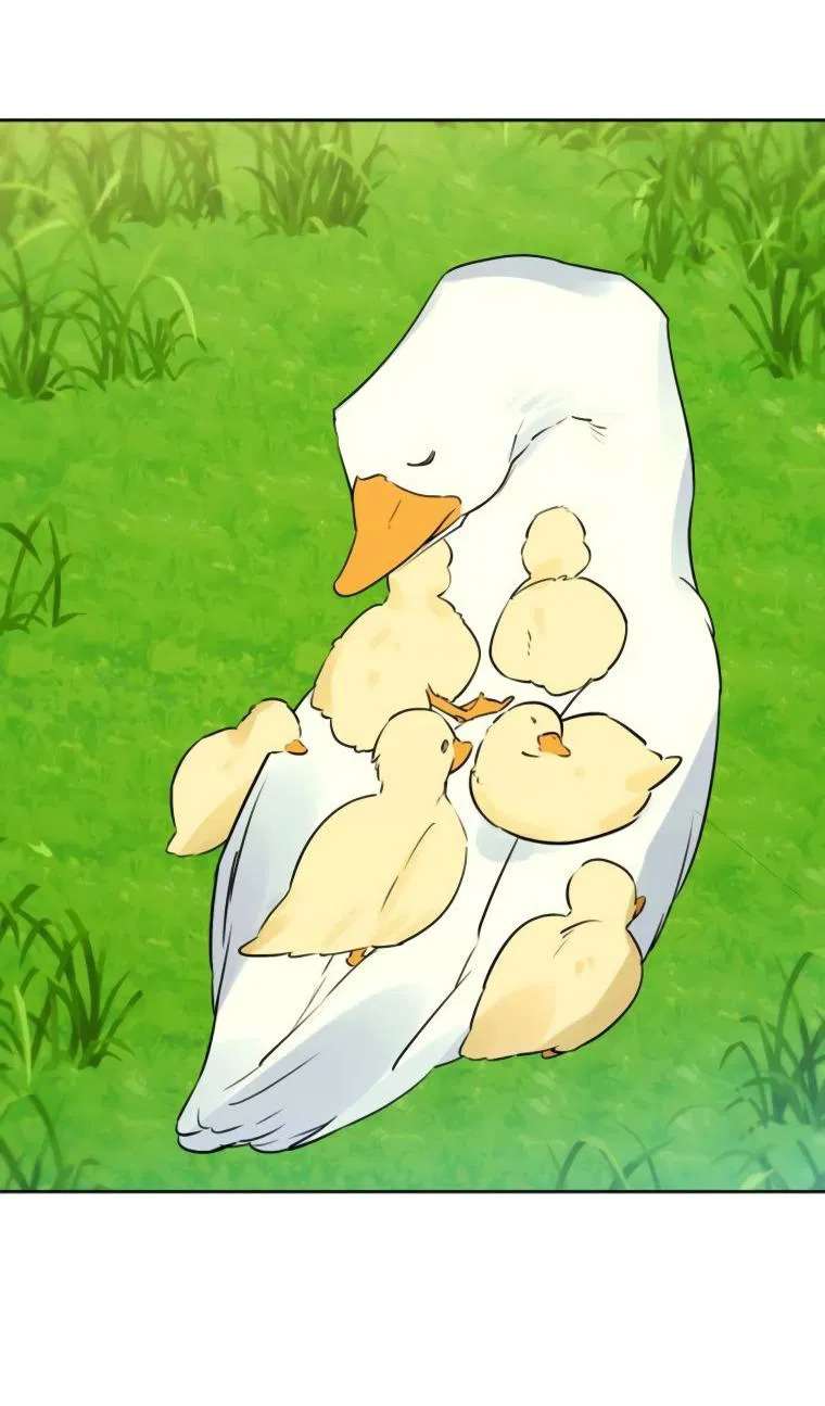 Chàng Ryan Của Em Chapter 25 - Trang 2