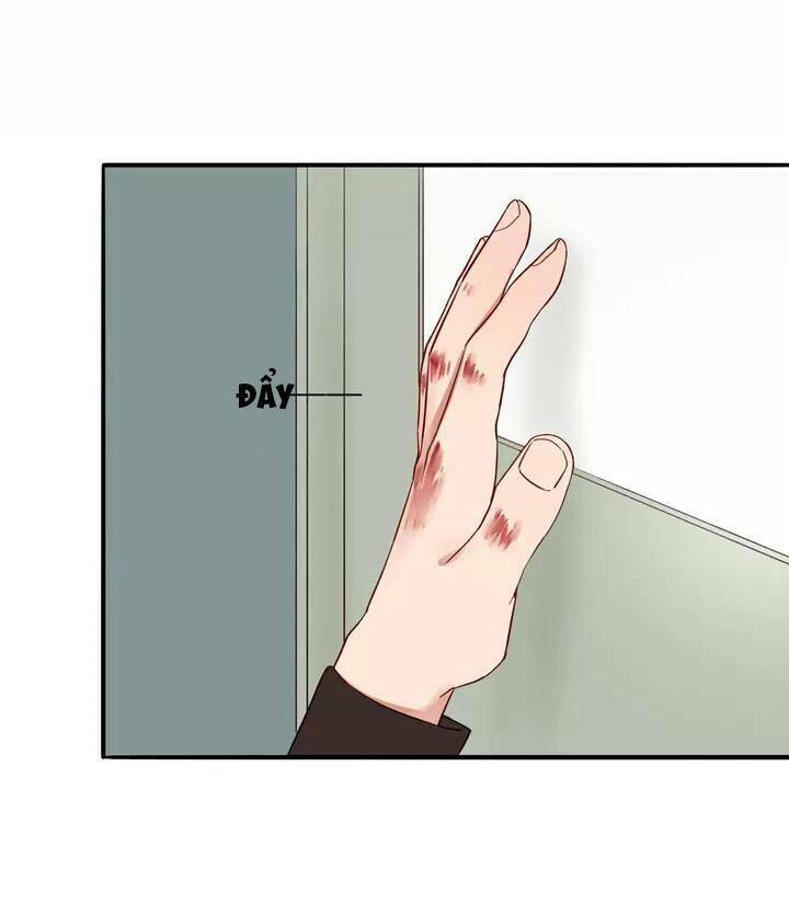 Chào Buổi Sáng, Hướng Dương Chapter 14 - Trang 2