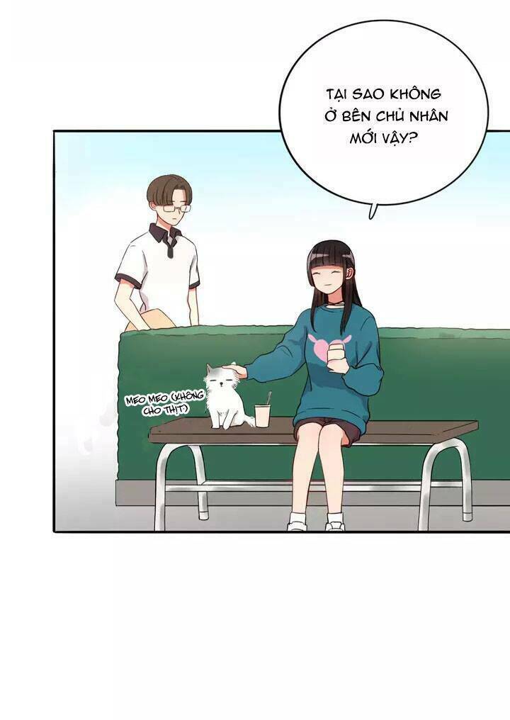 Chào Buổi Sáng, Hướng Dương Chapter 15 - Trang 2