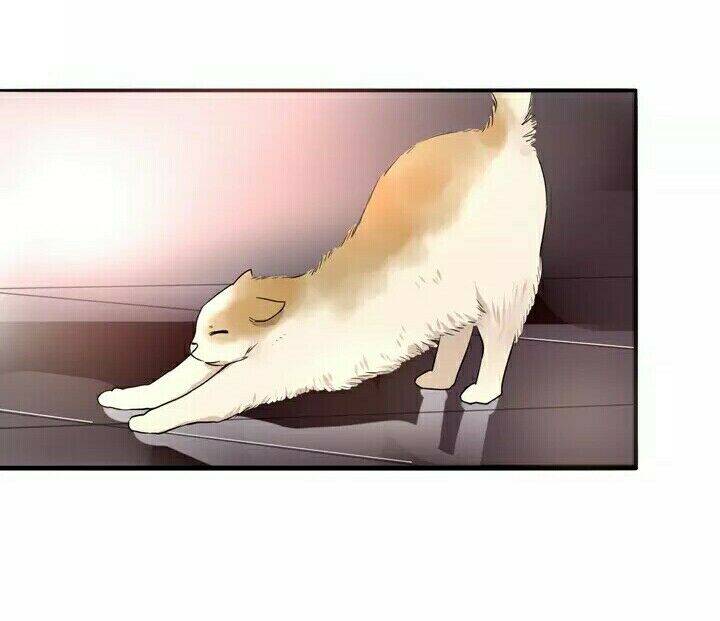 Chào Buổi Sáng, Hướng Dương Chapter 6 - Trang 2