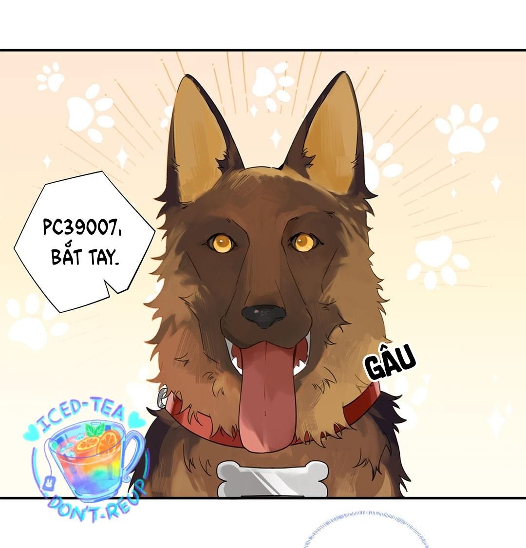 Chào, Đã Lâu Không Gặp Chapter 12 - Trang 2