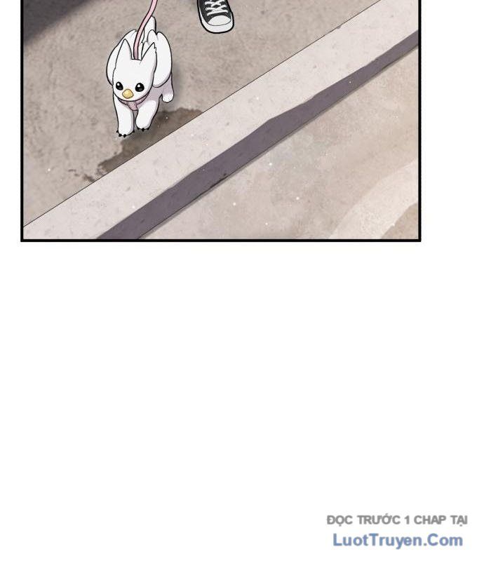 Chào Nhé, Chú Vẹt Mắt Tròn Griffin! Chapter 12 - Trang 2