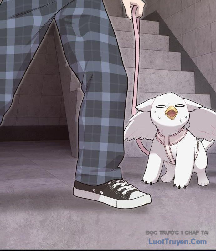 Chào Nhé, Chú Vẹt Mắt Tròn Griffin! Chapter 12 - Trang 2