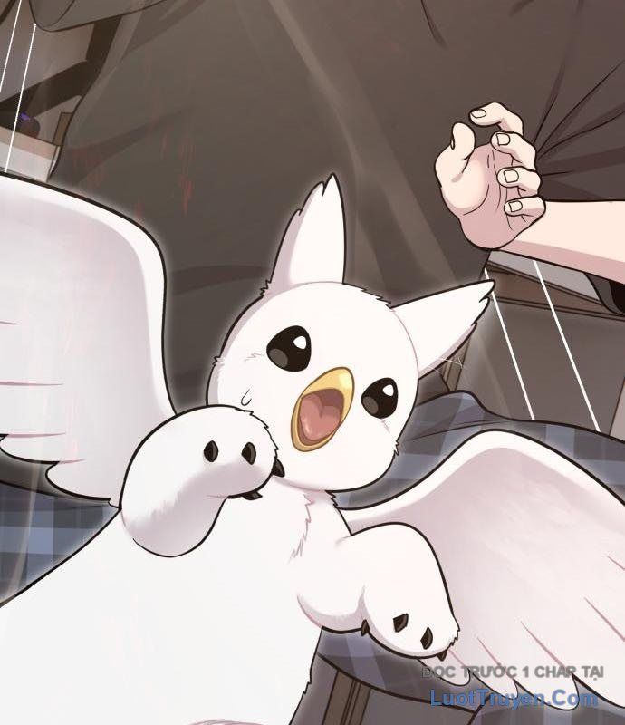 Chào Nhé, Chú Vẹt Mắt Tròn Griffin! Chapter 12 - Trang 2