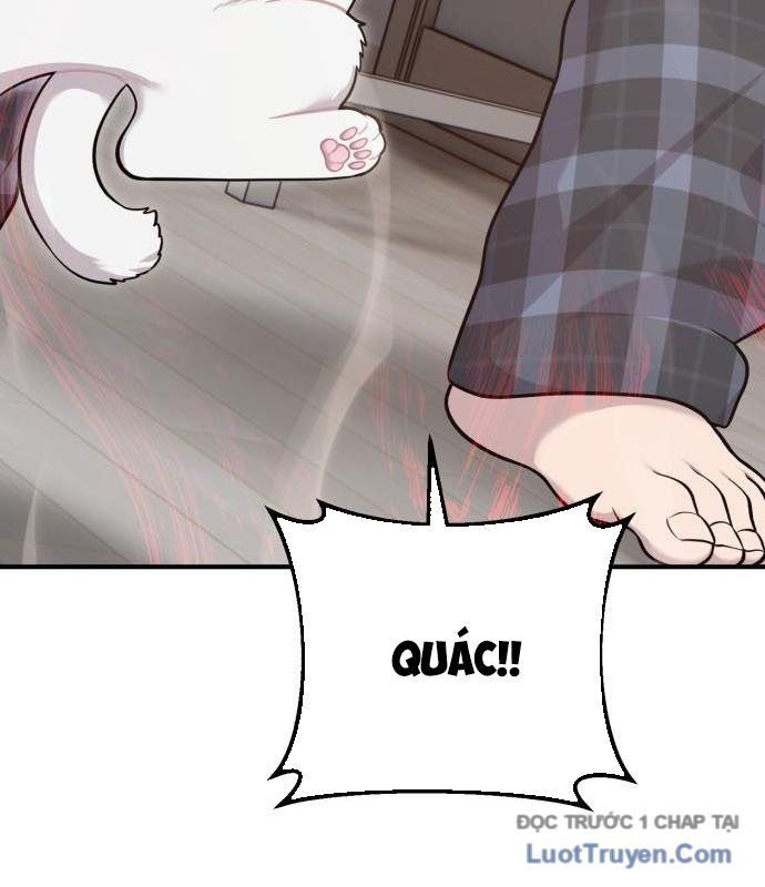 Chào Nhé, Chú Vẹt Mắt Tròn Griffin! Chapter 12 - Trang 2