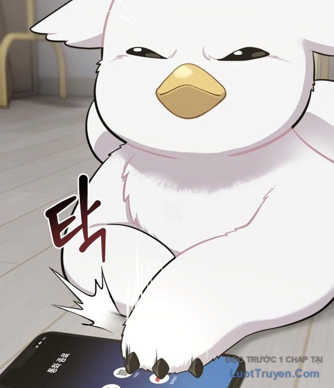 Chào Nhé, Chú Vẹt Mắt Tròn Griffin! Chapter 12 - Trang 2