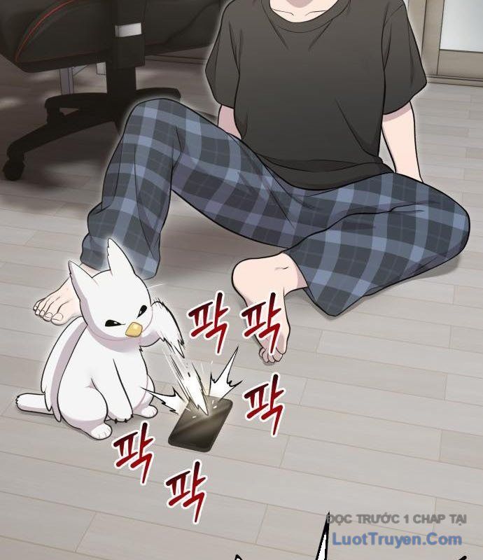 Chào Nhé, Chú Vẹt Mắt Tròn Griffin! Chapter 12 - Trang 2