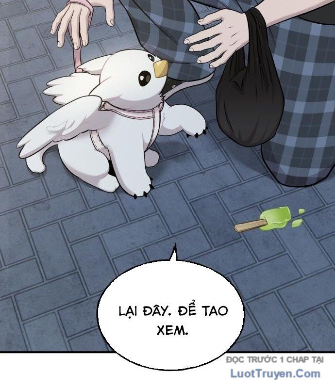 Chào Nhé, Chú Vẹt Mắt Tròn Griffin! Chapter 12 - Trang 2