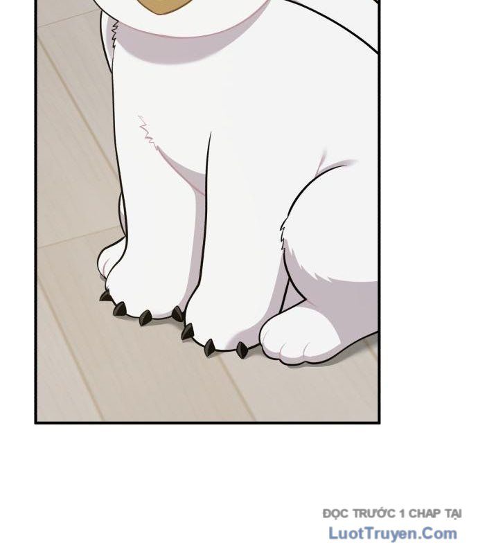 Chào Nhé, Chú Vẹt Mắt Tròn Griffin! Chapter 13 - Trang 2