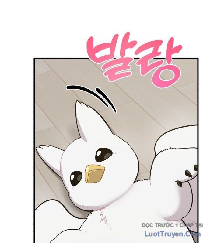 Chào Nhé, Chú Vẹt Mắt Tròn Griffin! Chapter 13 - Trang 2
