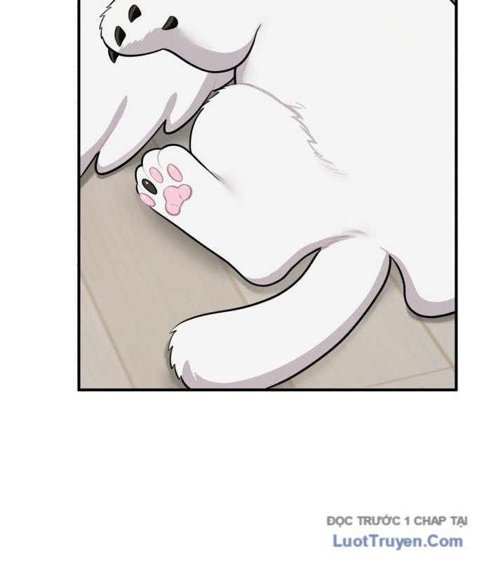 Chào Nhé, Chú Vẹt Mắt Tròn Griffin! Chapter 13 - Trang 2