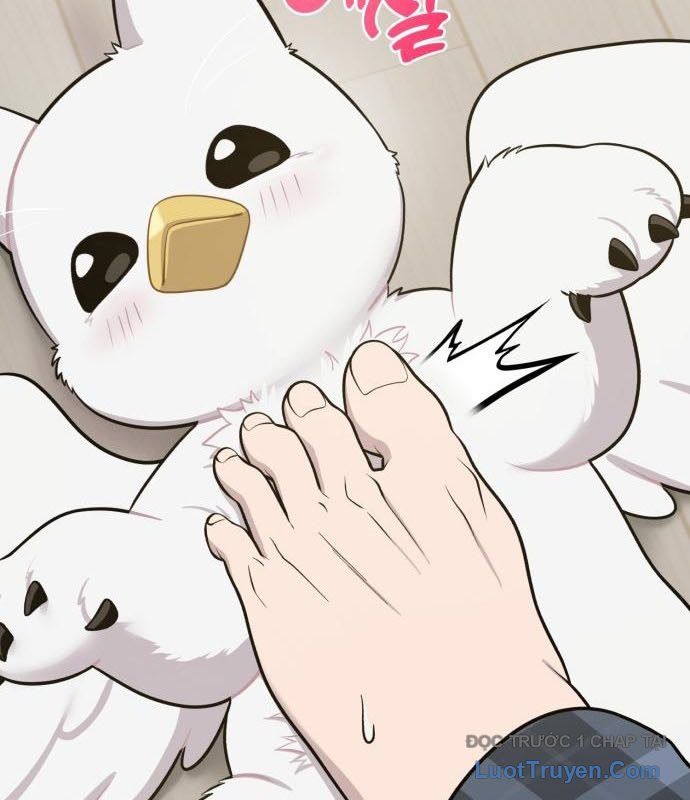 Chào Nhé, Chú Vẹt Mắt Tròn Griffin! Chapter 13 - Trang 2
