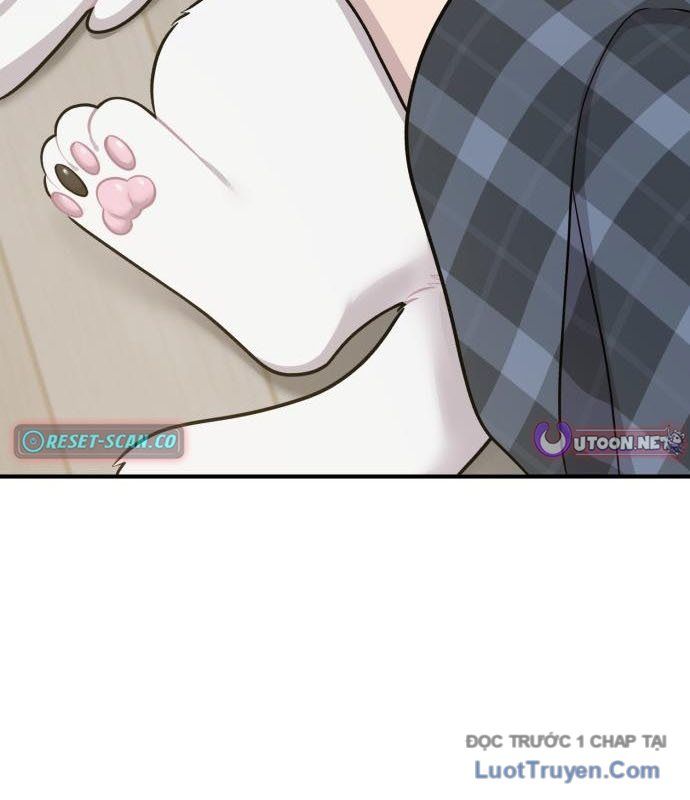 Chào Nhé, Chú Vẹt Mắt Tròn Griffin! Chapter 13 - Trang 2