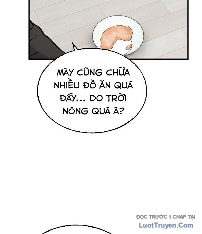 Chào Nhé, Chú Vẹt Mắt Tròn Griffin! Chapter 13 - Trang 2