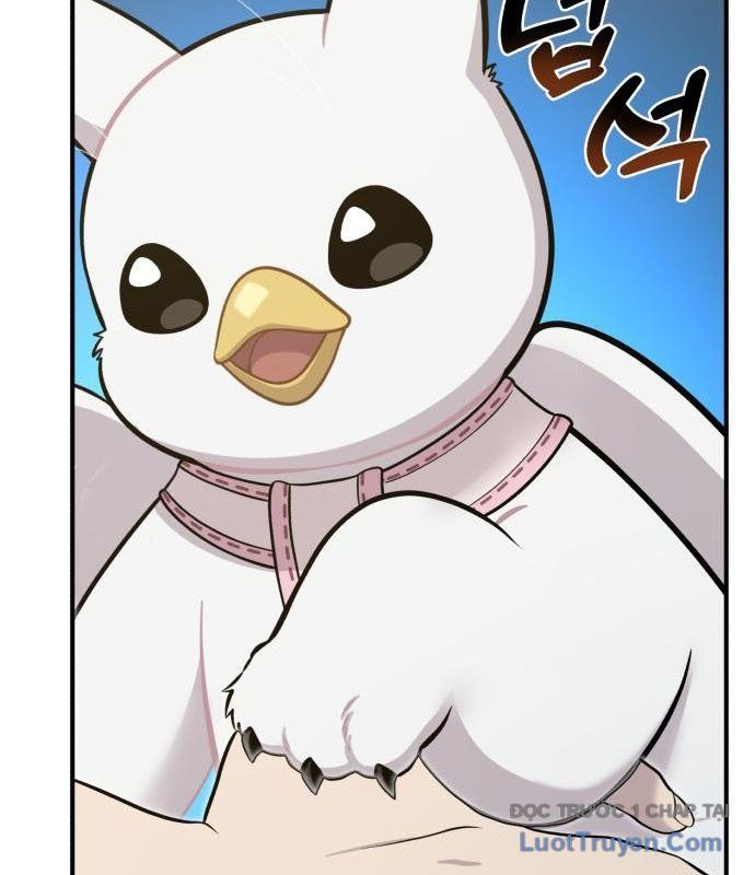 Chào Nhé, Chú Vẹt Mắt Tròn Griffin! Chapter 13 - Trang 2