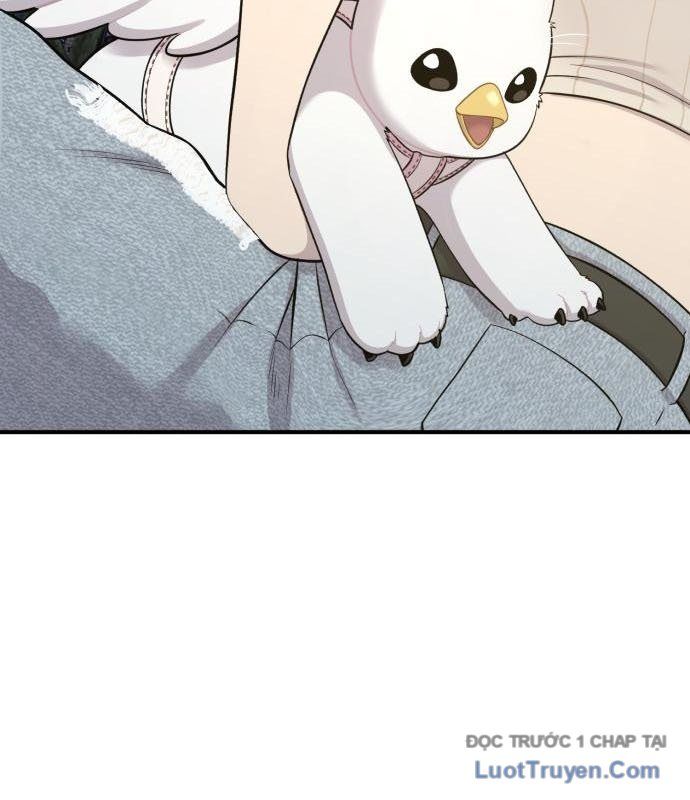 Chào Nhé, Chú Vẹt Mắt Tròn Griffin! Chapter 13 - Trang 2