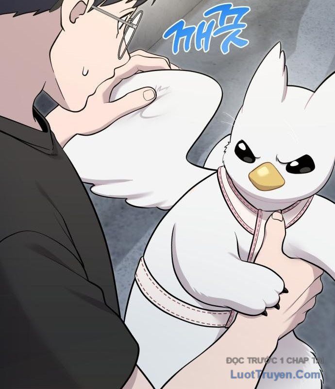 Chào Nhé, Chú Vẹt Mắt Tròn Griffin! Chapter 13 - Trang 2