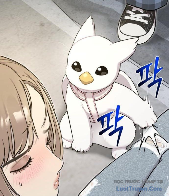 Chào Nhé, Chú Vẹt Mắt Tròn Griffin! Chapter 13 - Trang 2