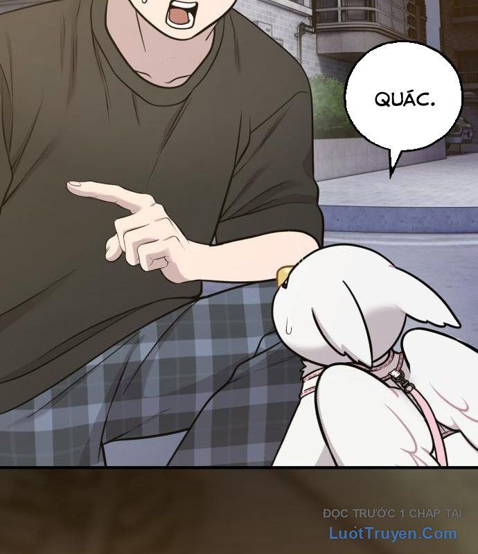 Chào Nhé, Chú Vẹt Mắt Tròn Griffin! Chapter 13 - Trang 2