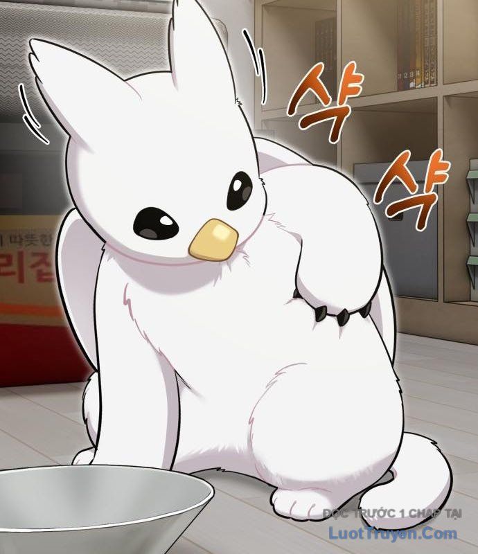 Chào Nhé, Chú Vẹt Mắt Tròn Griffin! Chapter 13 - Trang 2