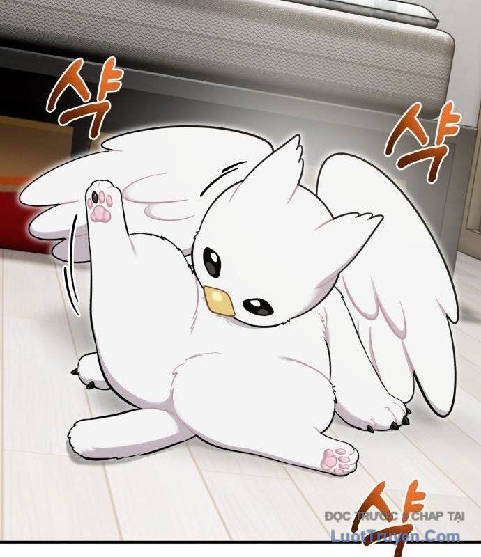 Chào Nhé, Chú Vẹt Mắt Tròn Griffin! Chapter 13 - Trang 2