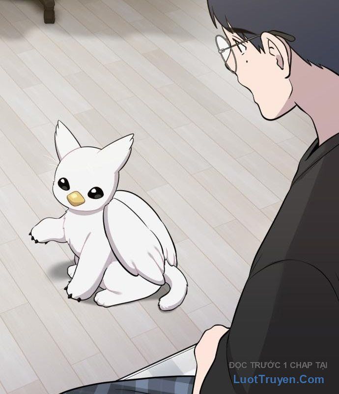 Chào Nhé, Chú Vẹt Mắt Tròn Griffin! Chapter 13 - Trang 2