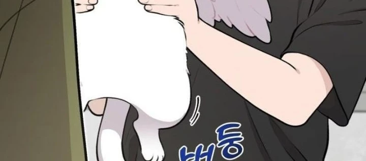 Chào Nhé, Griffin Mắt Tròn! Chapter 1 - Trang 2