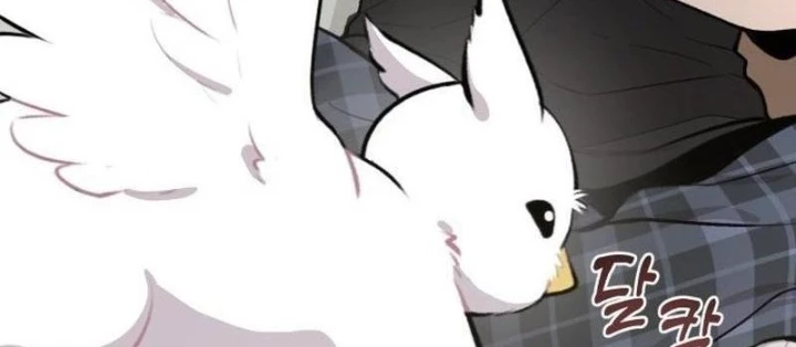 Chào Nhé, Griffin Mắt Tròn! Chapter 1 - Trang 2