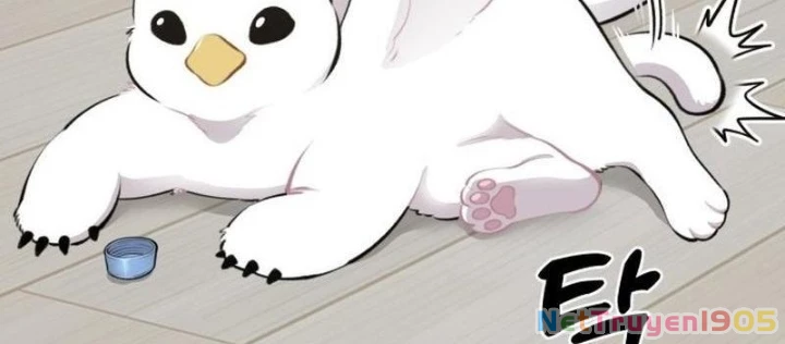 Chào Nhé, Griffin Mắt Tròn! Chapter 1 - Trang 2