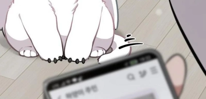 Chào Nhé, Griffin Mắt Tròn! Chapter 1 - Trang 2