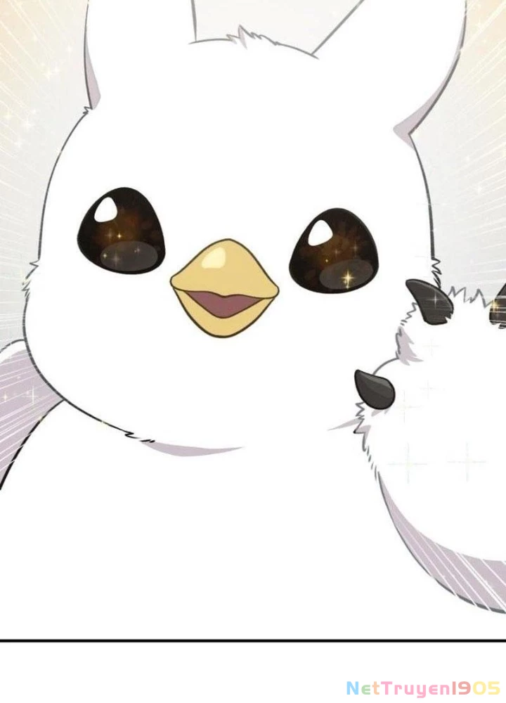 Chào Nhé, Griffin Mắt Tròn! Chapter 1 - Trang 2