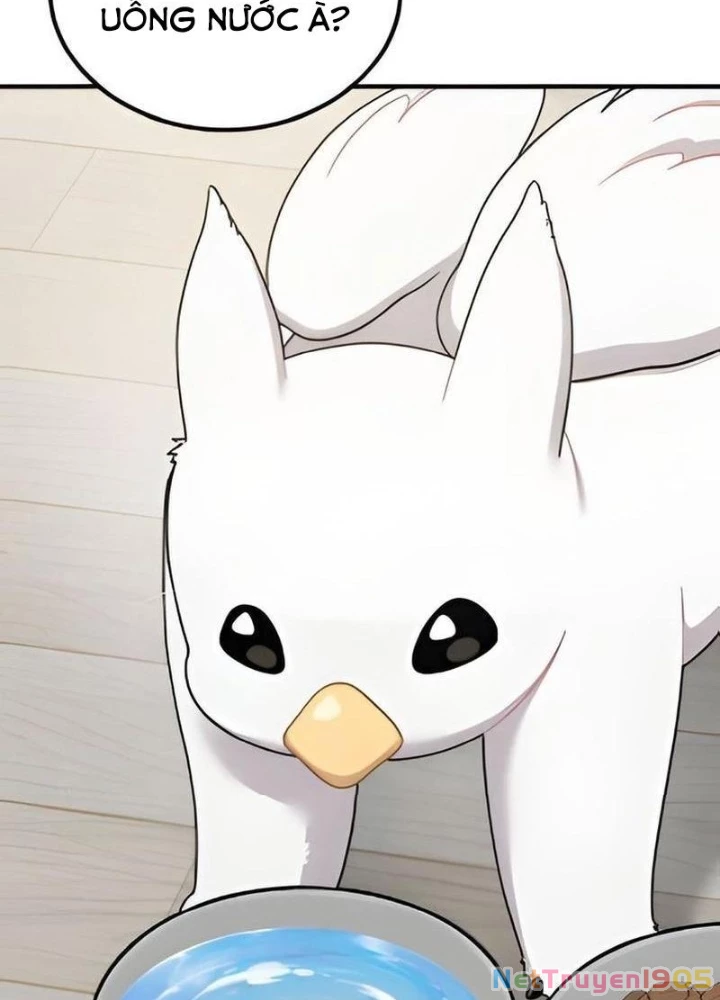 Chào Nhé, Griffin Mắt Tròn! Chapter 2 - Trang 2