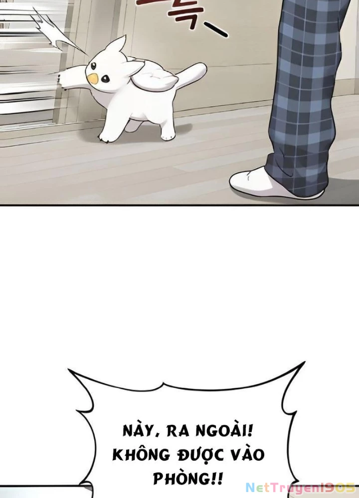 Chào Nhé, Griffin Mắt Tròn! Chapter 2 - Trang 2