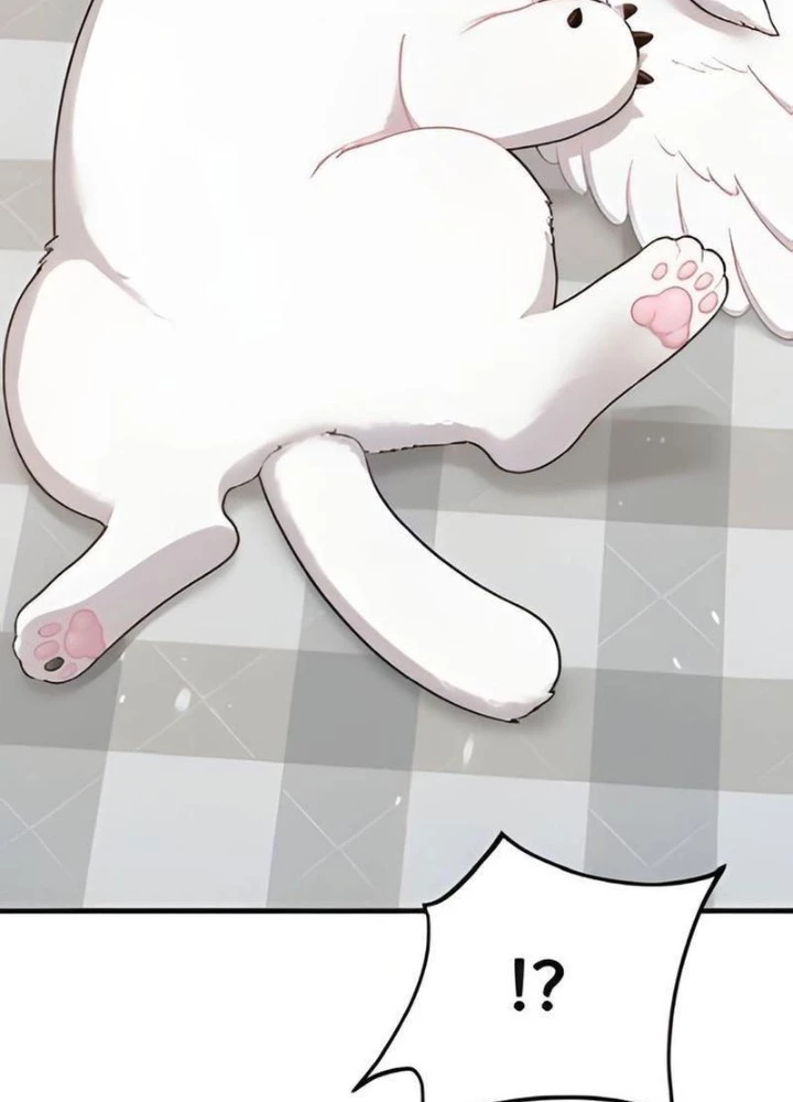Chào Nhé, Griffin Mắt Tròn! Chapter 2 - Trang 2
