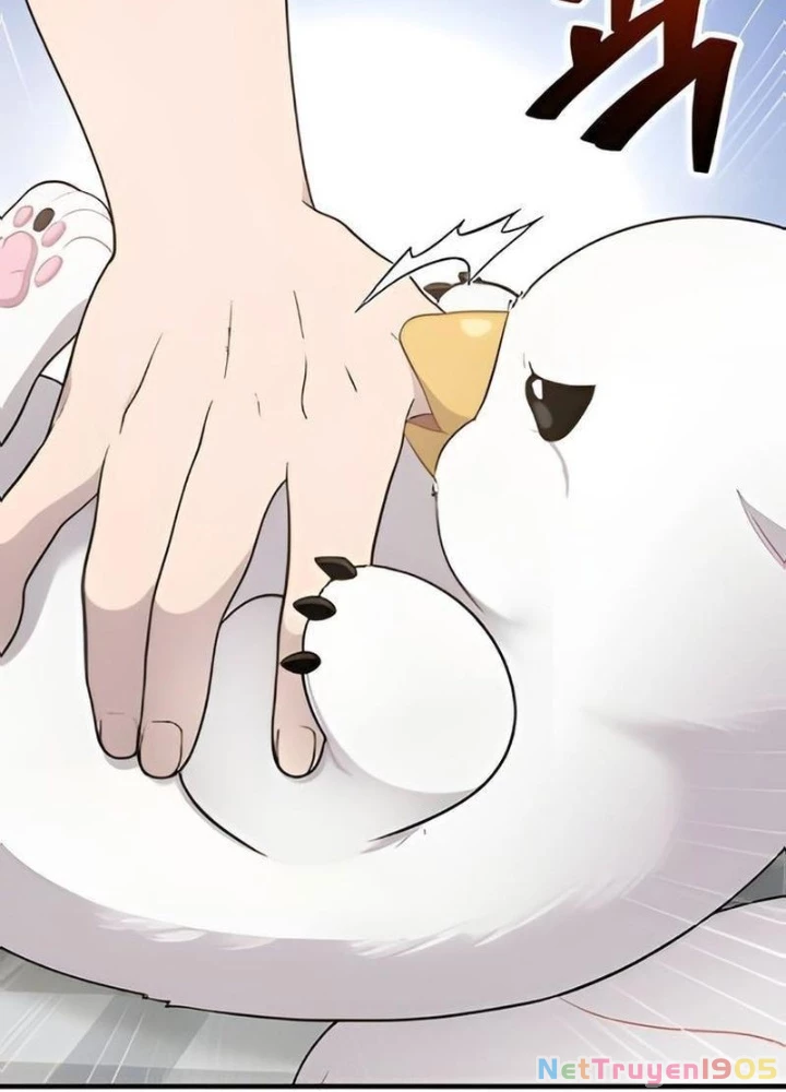 Chào Nhé, Griffin Mắt Tròn! Chapter 2 - Trang 2