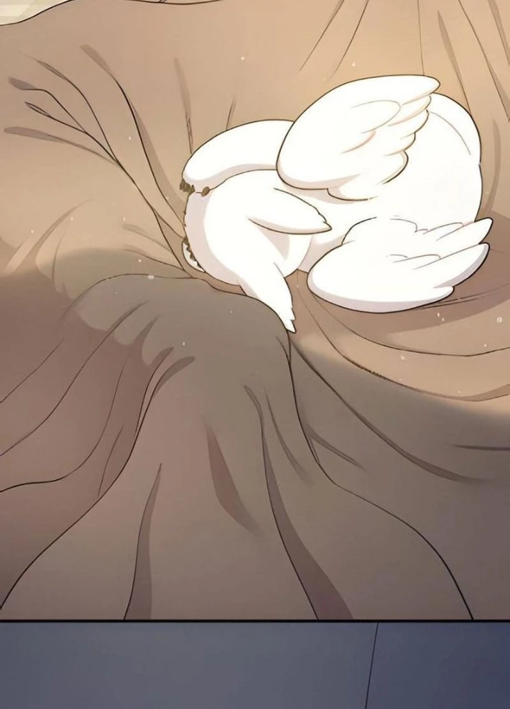 Chào Nhé, Griffin Mắt Tròn! Chapter 2 - Trang 2