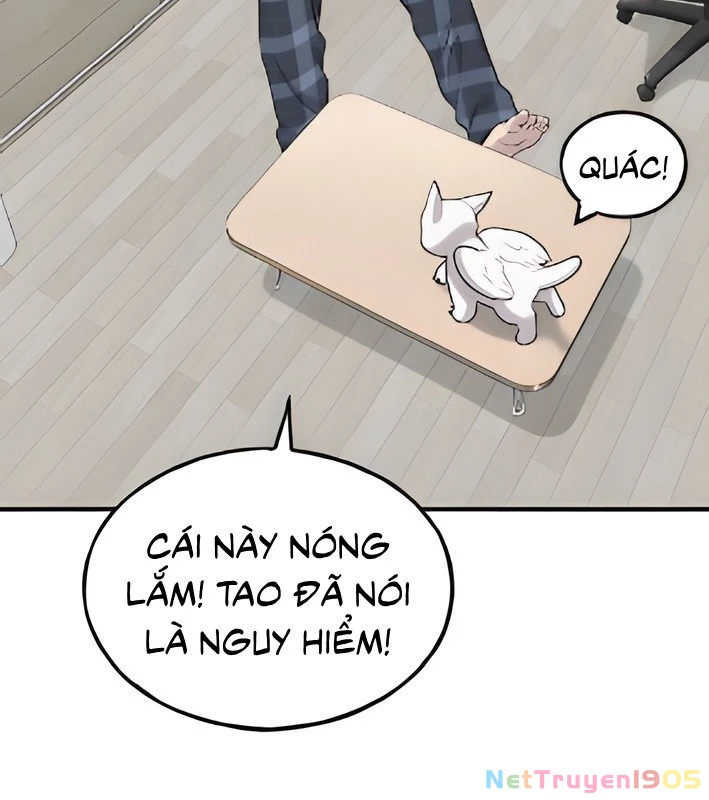 Chào Nhé, Griffin Mắt Tròn! Chapter 4 - Trang 2
