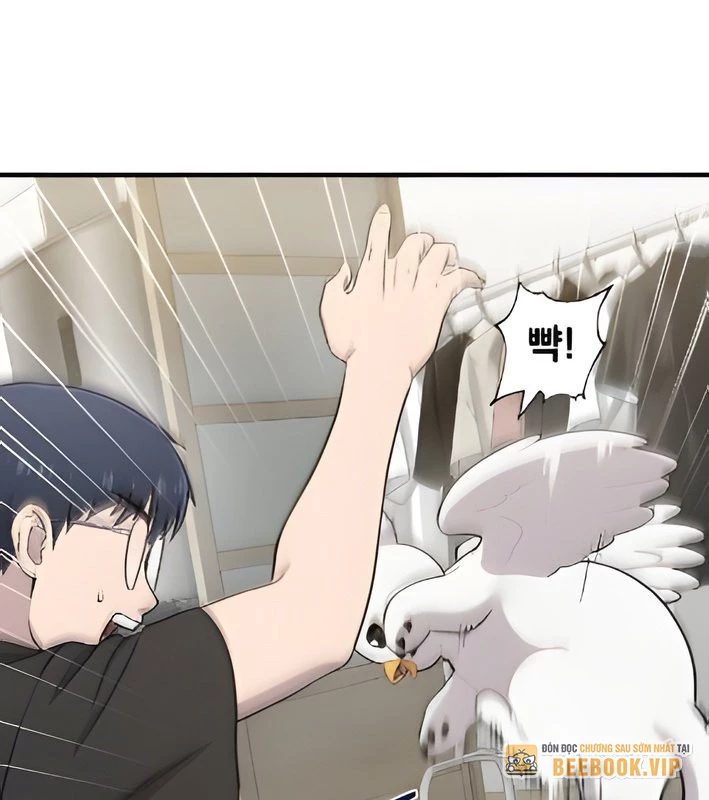 Chào Nhé, Griffin Mắt Tròn! Chapter 4 - Trang 2