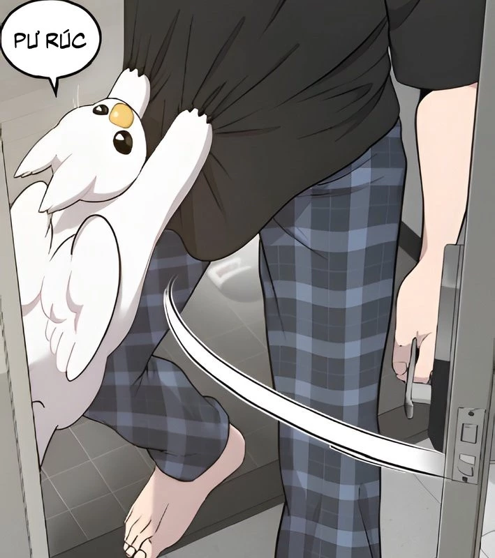 Chào Nhé, Griffin Mắt Tròn! Chapter 4 - Trang 2