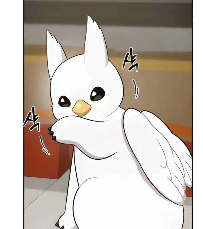 Chào Nhé, Griffin Mắt Tròn! Chapter 4 - Trang 2