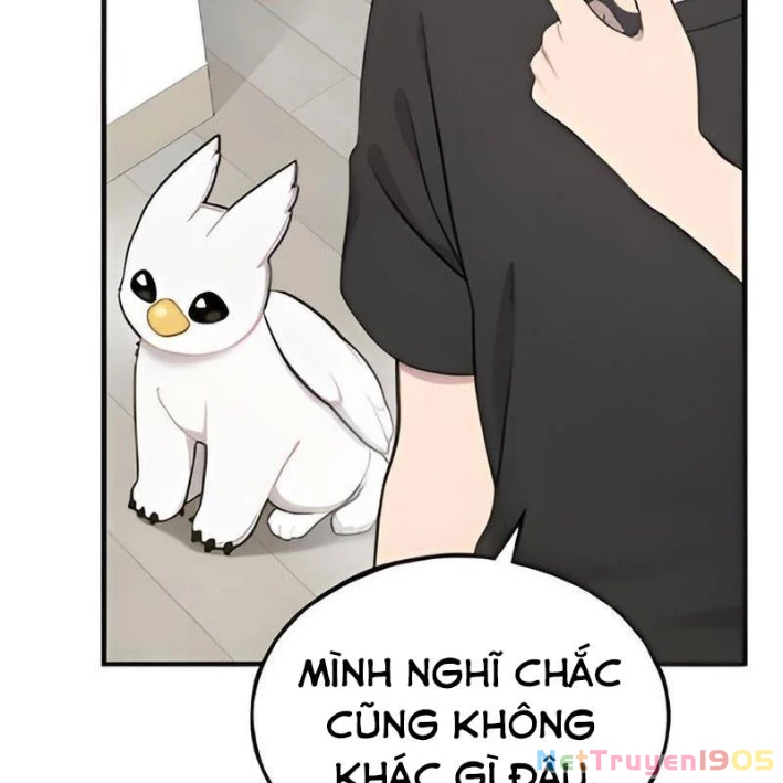 Chào Nhé, Griffin Mắt Tròn! Chapter 5 - Trang 2