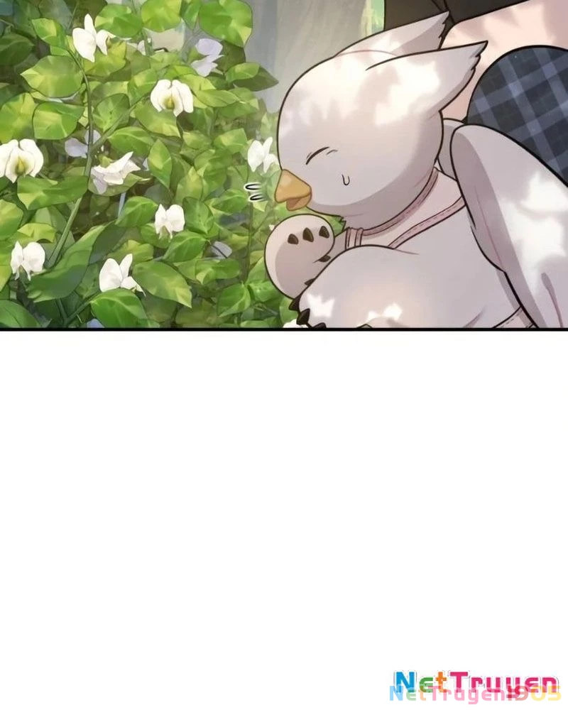 Chào Nhé, Griffin Mắt Tròn! Chapter 6 - Trang 2