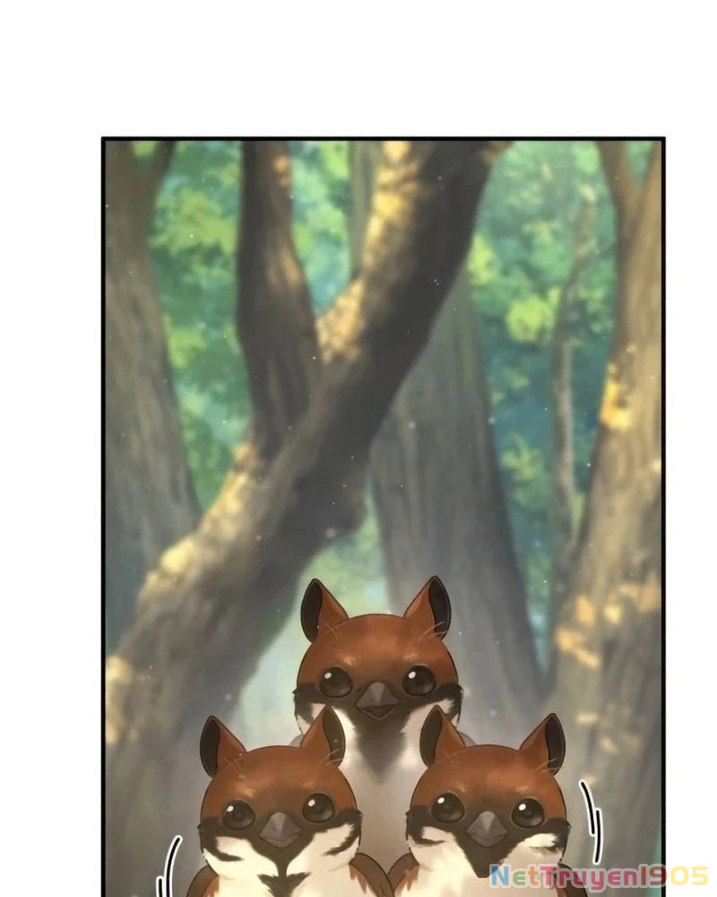 Chào Nhé, Griffin Mắt Tròn! Chapter 6 - Trang 2