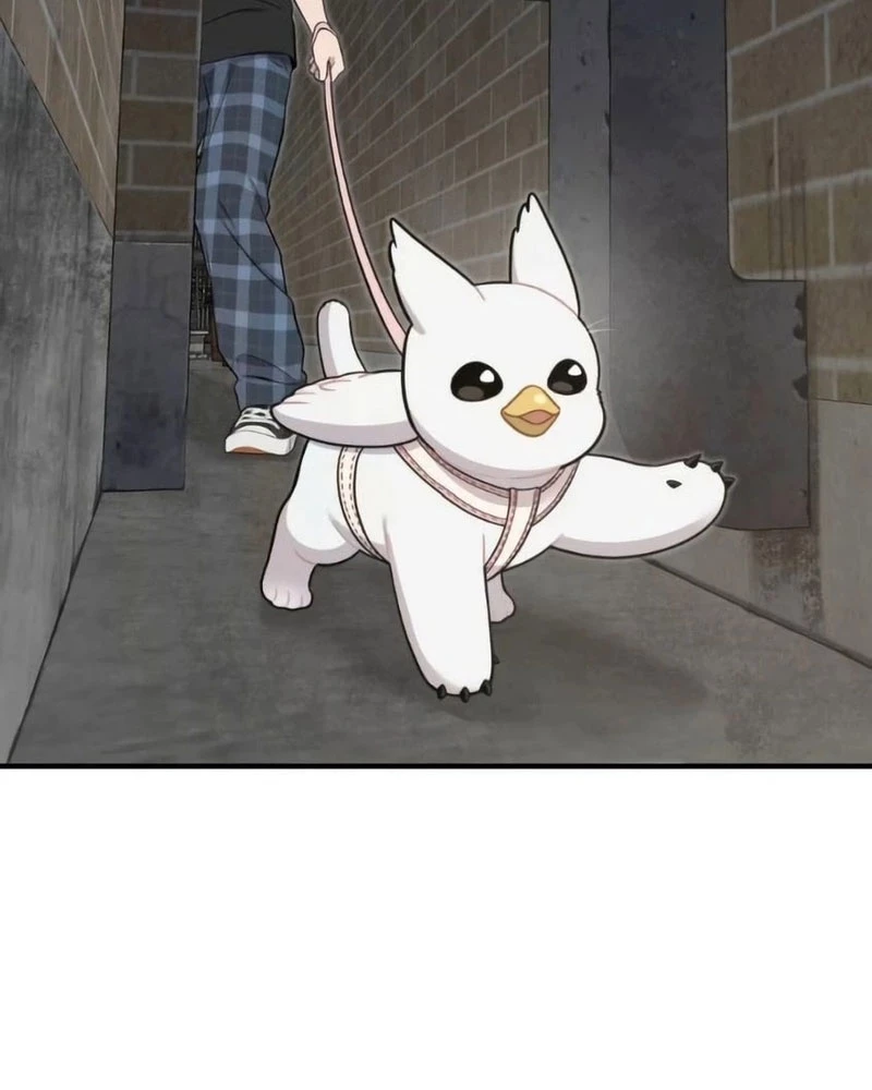 Chào Nhé, Griffin Mắt Tròn! Chapter 6 - Trang 2
