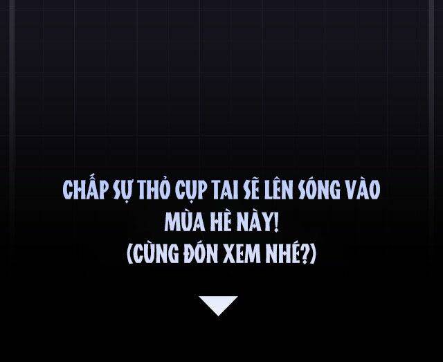 Chấp Sự Thỏ Cụp Tai Chapter 0 - Trang 2