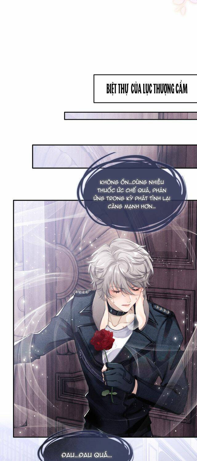 Chấp Sự Thỏ Cụp Tai Chapter 1 - Trang 2