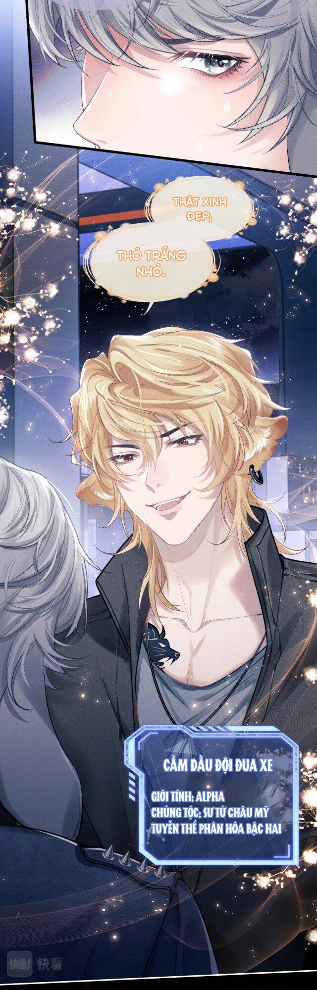 Chấp Sự Thỏ Cụp Tai Chapter 1 - Trang 2